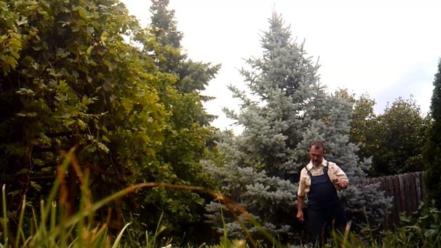 Запуск во дворе авиамодели - ГЕПТАПЛАНА (с музыкой)