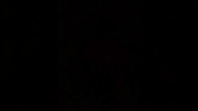 Цветы Северного Кипра