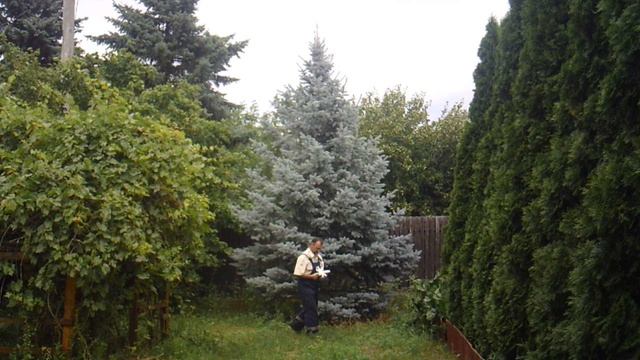 Физкультура - ручной АВИАТЛОН во дворе: авиамодель - гептаплан #сезонконтентаRUTUBE