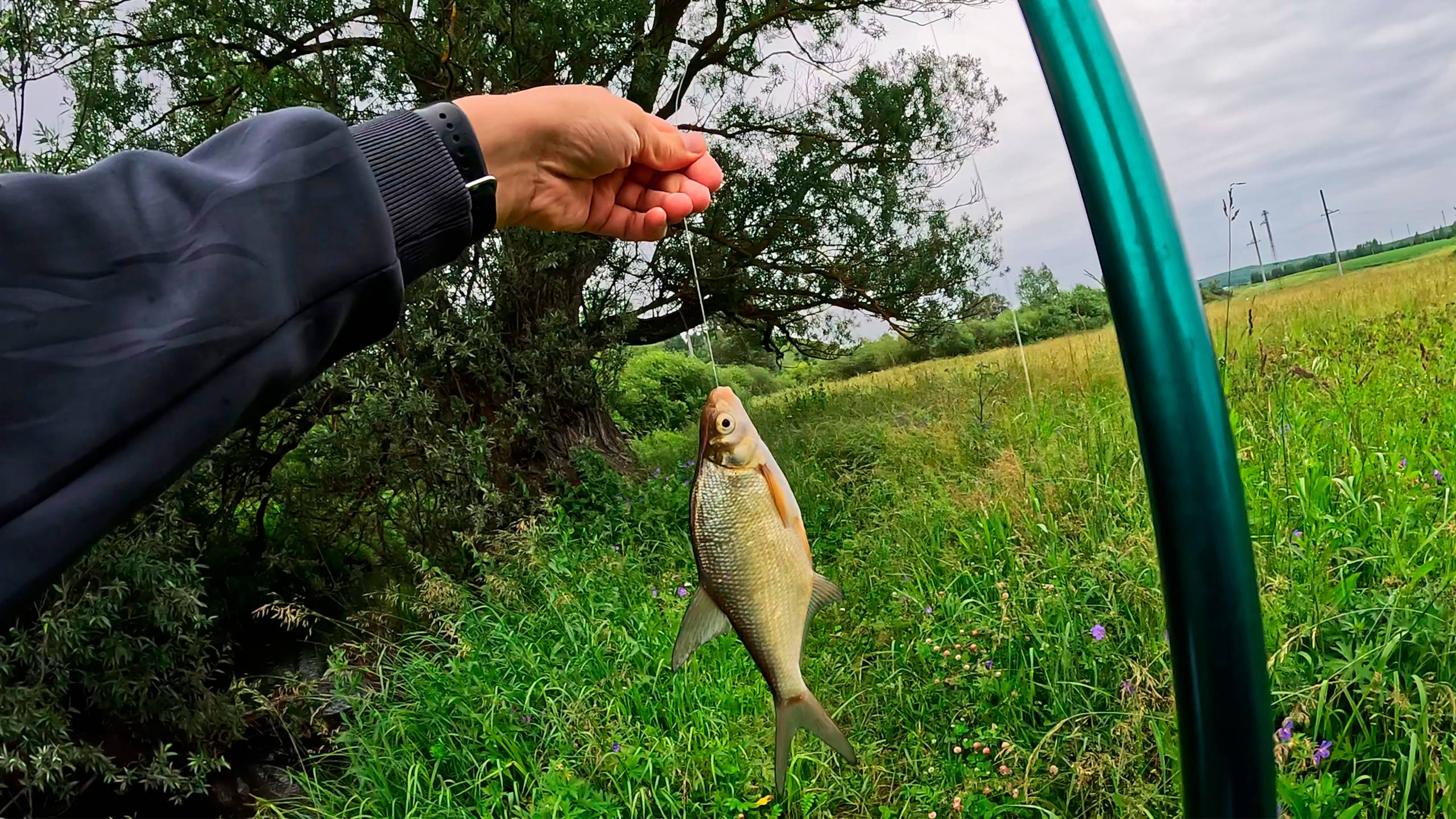 РЫБАЛКА ПО-ПРОСТОМУ В ДЕРЕВНЕ НА РЕЧКЕ ПЛОТВА И ГУСТЕРА