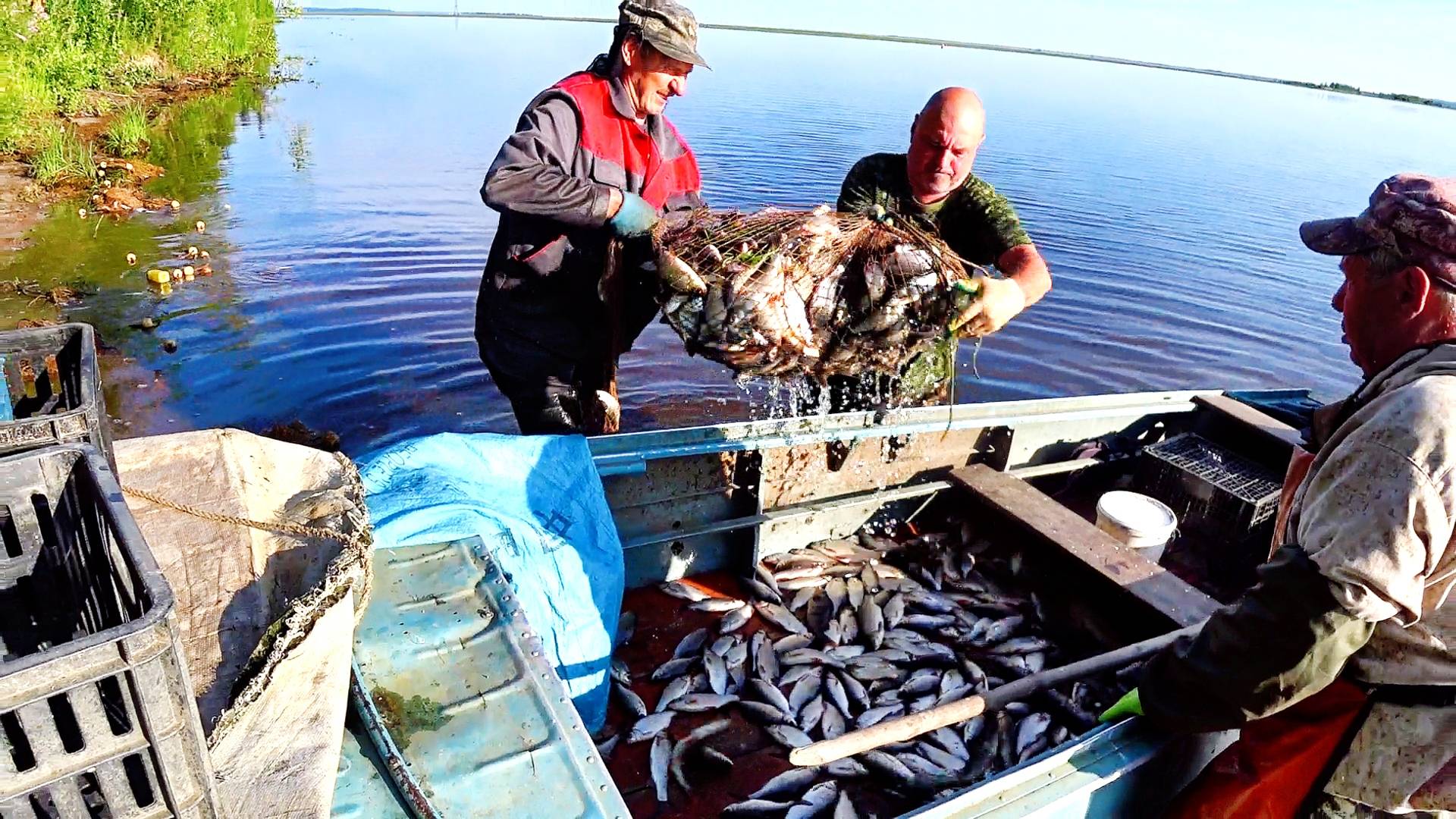 Ловля неводом 6 июля 2025