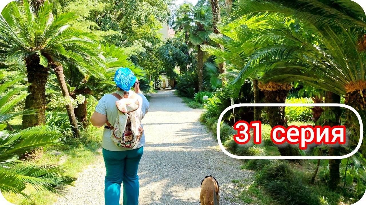 Новый Афон и Сухумский ботанический сад. Путешествие по Абхазии 2024, серия 31.