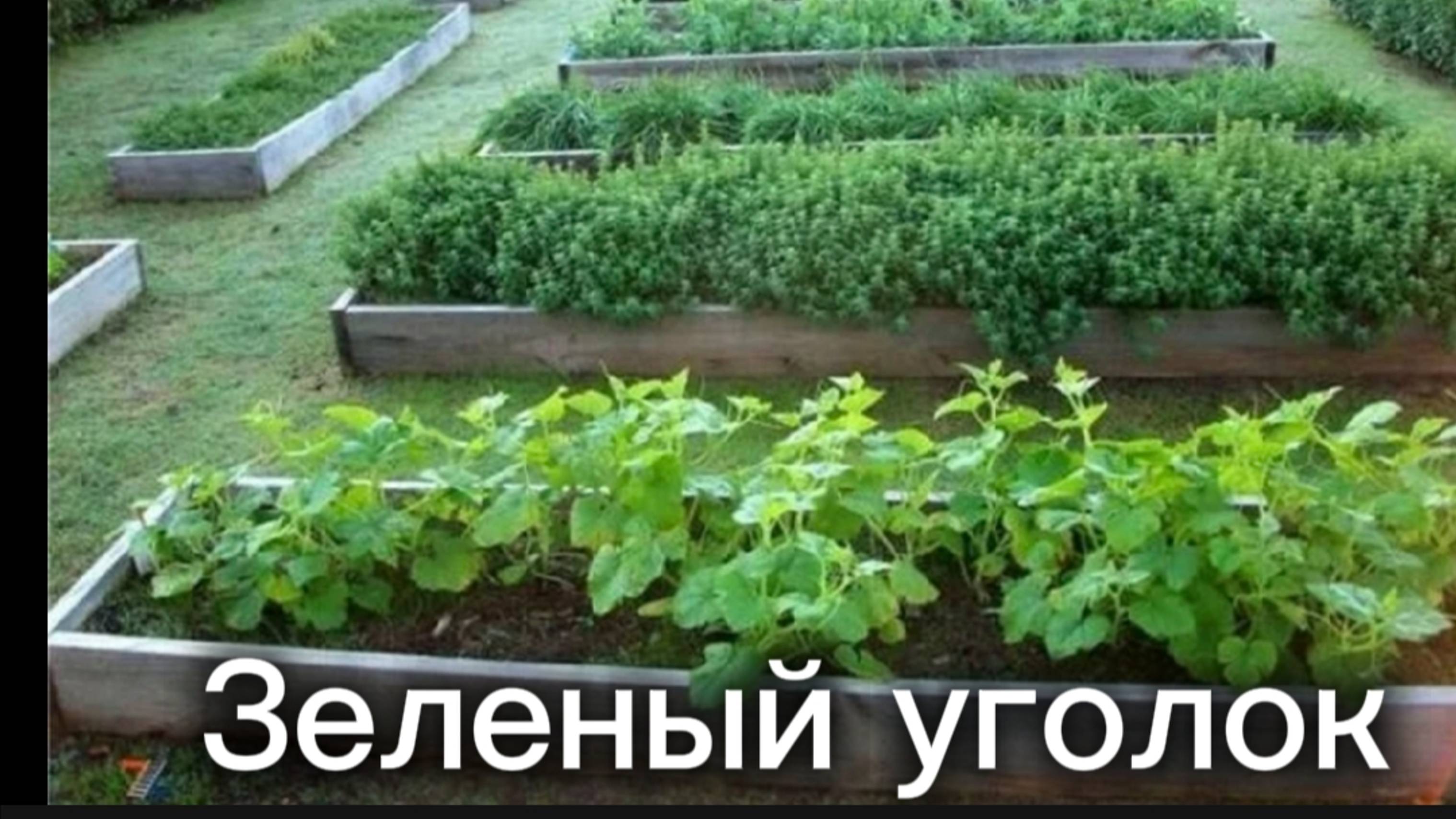 Сколько грядок нужно для разнообразного урожая?