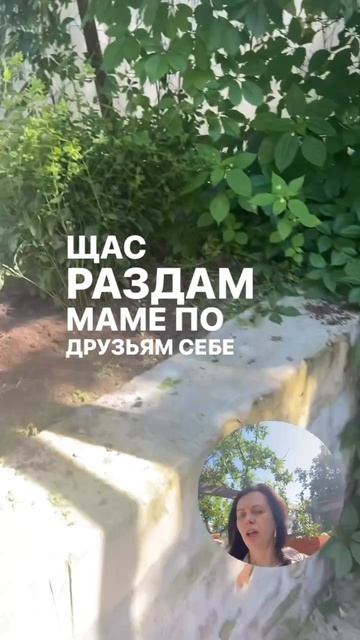 Дача и огород - релакс и дзен