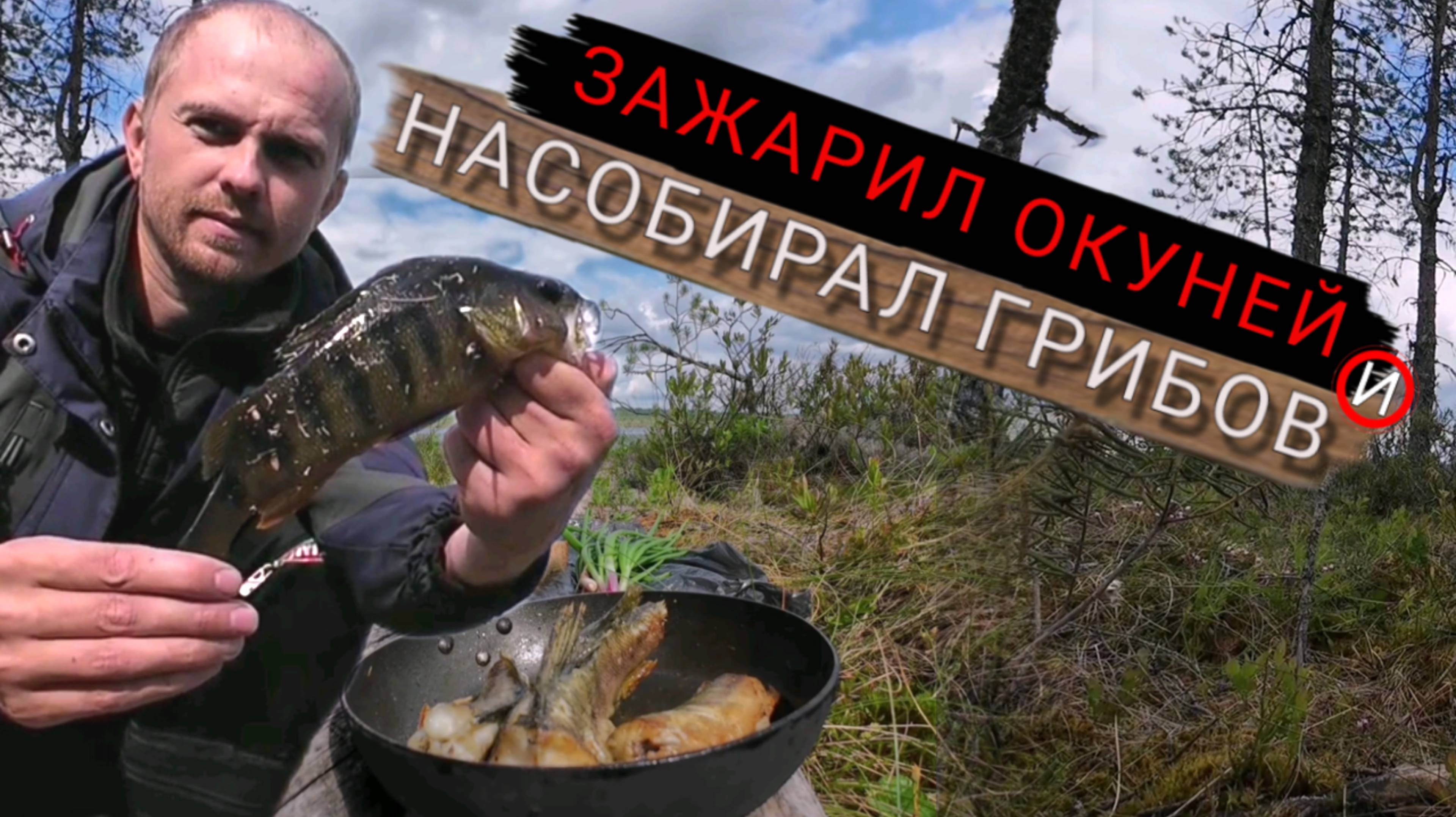 За жареным окунем в дождь на озеро. Рыбалка на спиннинг.