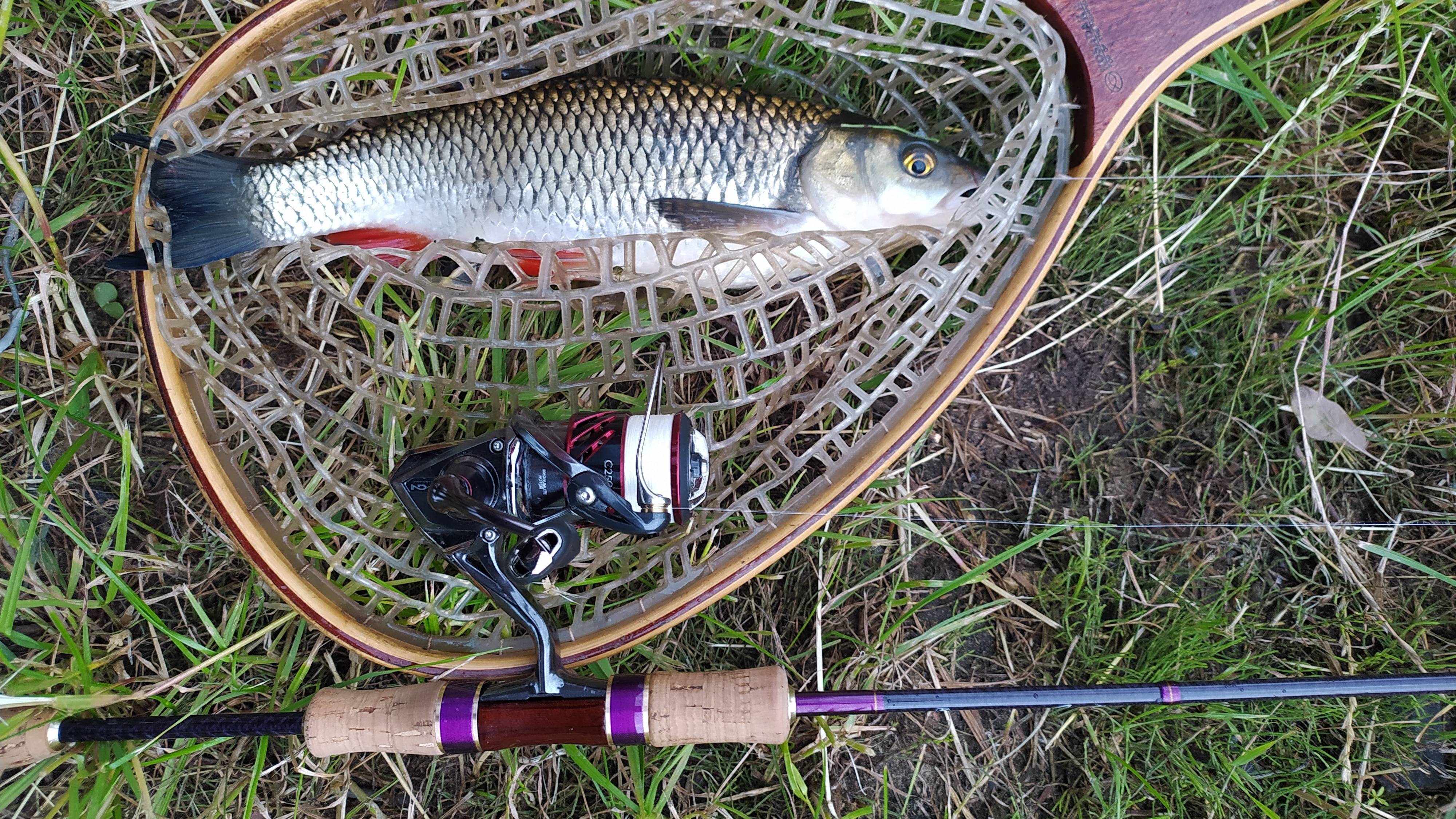 МР, Филевская пойма. Разведка с топвотерами