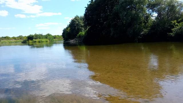 Терешка сегодня прекрасна...)