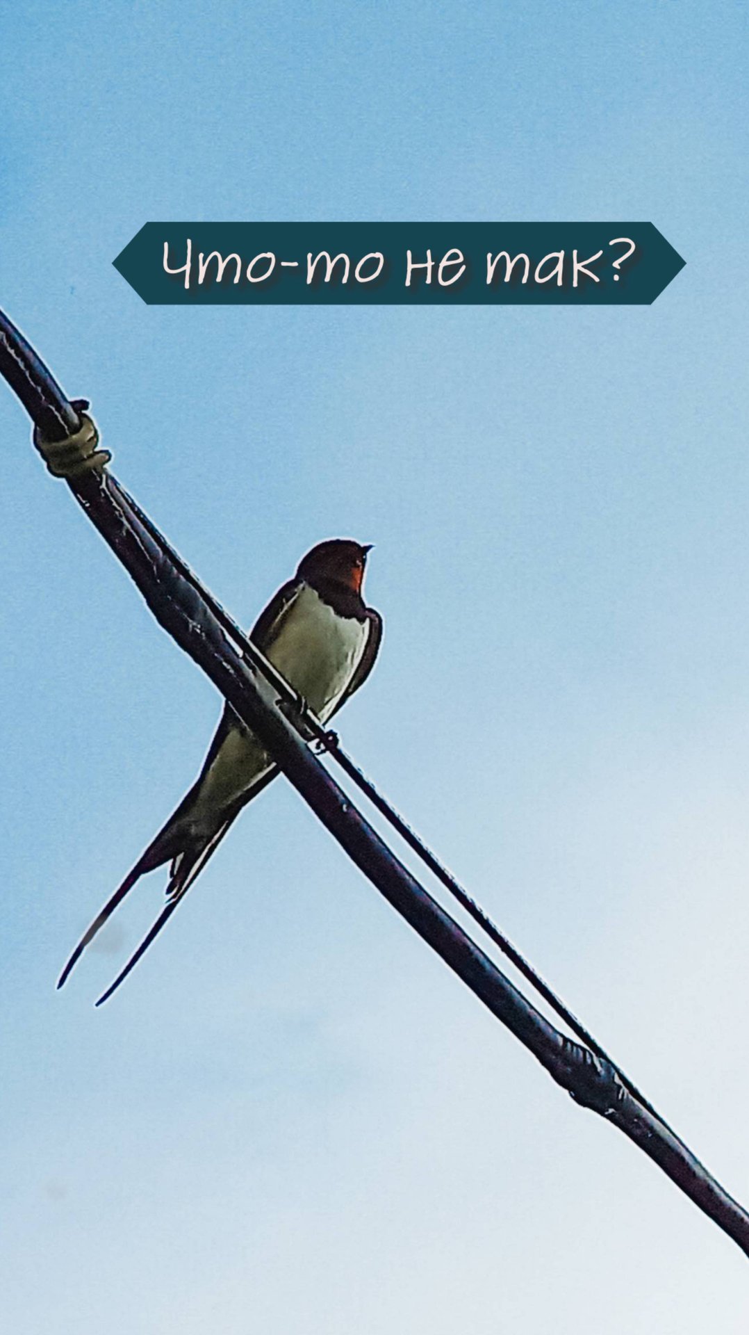 С нами всё так #shorts