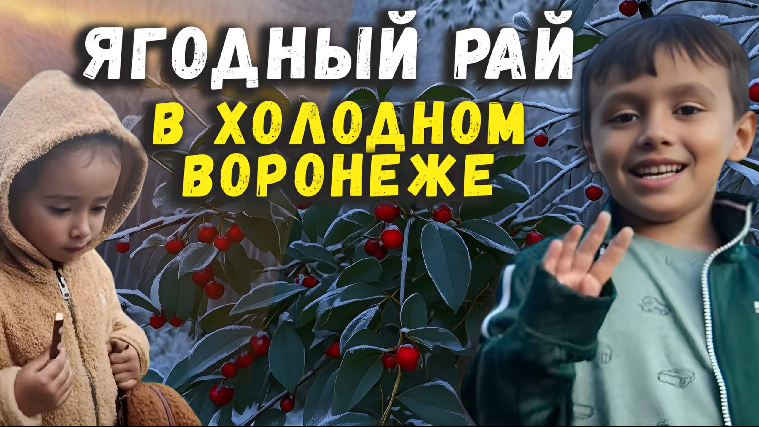 Холодное лето 2025 Воронеж