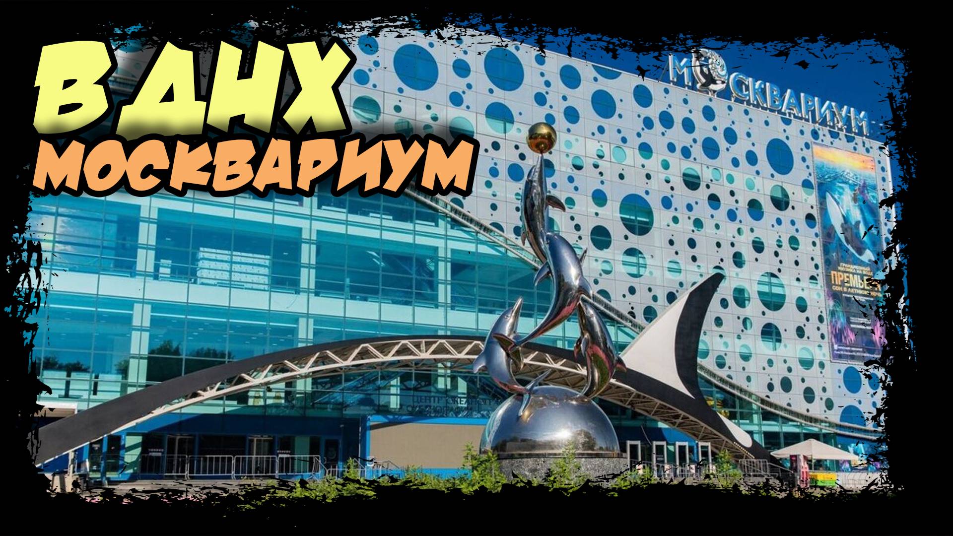 ВДНХ. Москвариум. Центр океанографии и морской биологии. #москвариум #океанариум