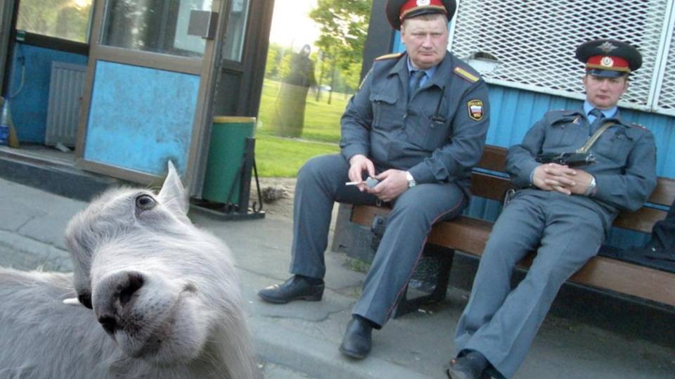 СМЕШНЫЕ ВИДЕОПРИКОЛЫ |Падения, неудачи, нелепые ситуации |Я РЖАЛ ДО СЛЕЗ|ПОДБОРКА ПРИКОЛОВ