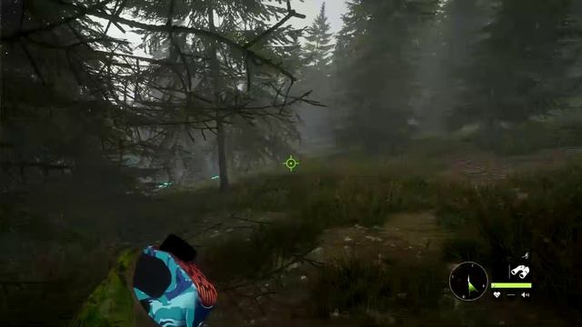 theHunter- Call of the Wild™ 2