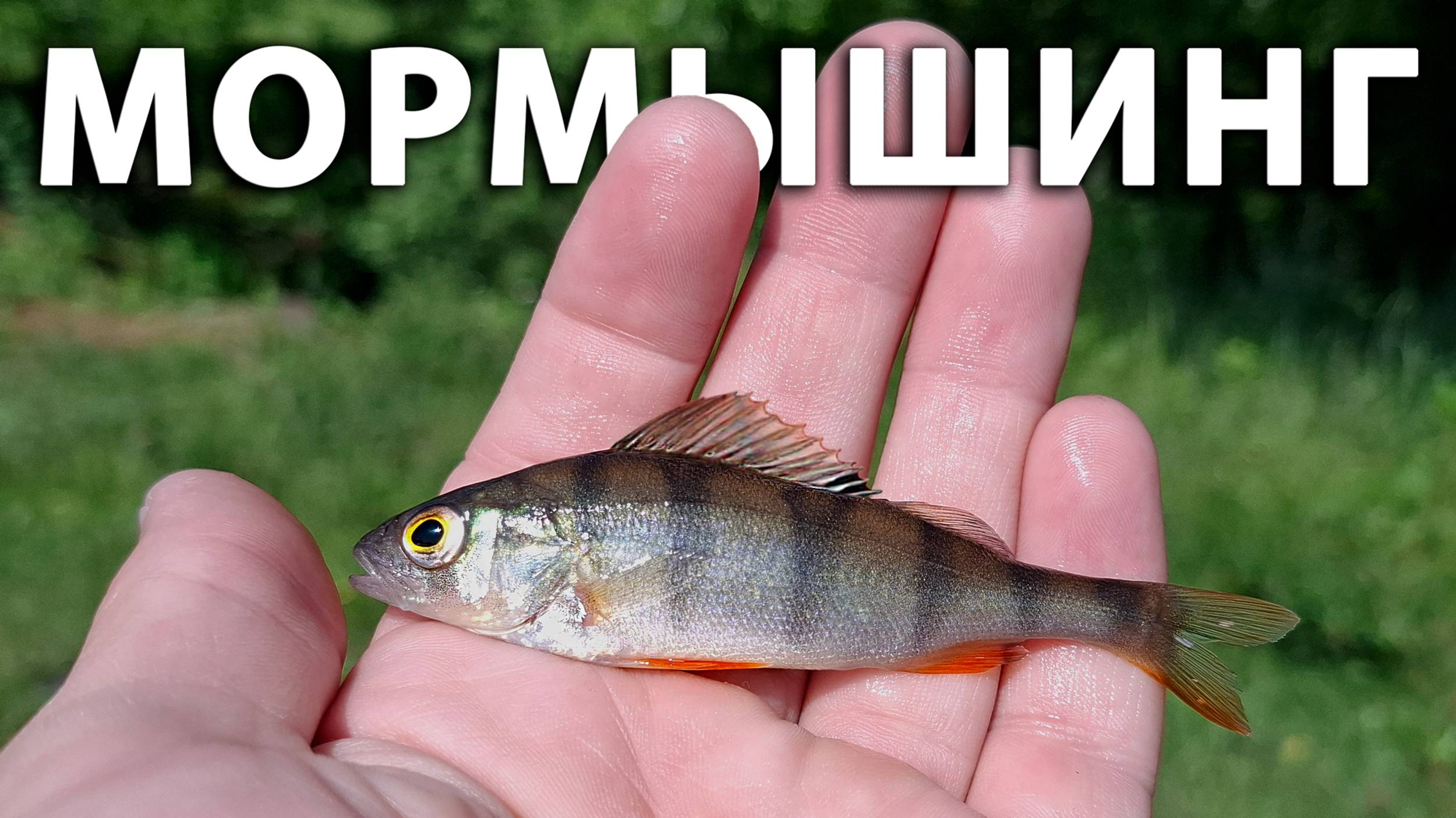 Ловля окуня на мормышку. Осваиваю мормышинг. #Рыбалка на спиннинг в Подмосковье летом.