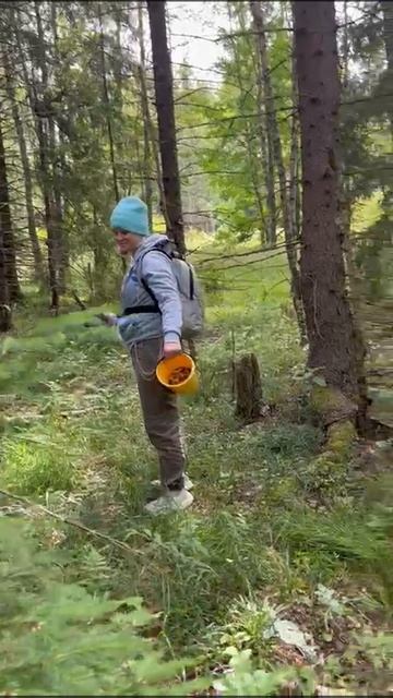 Сбор ягод и Грибов #сезонконтентаRUTUBE