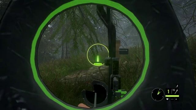 theHunter- Call of the Wild™  1