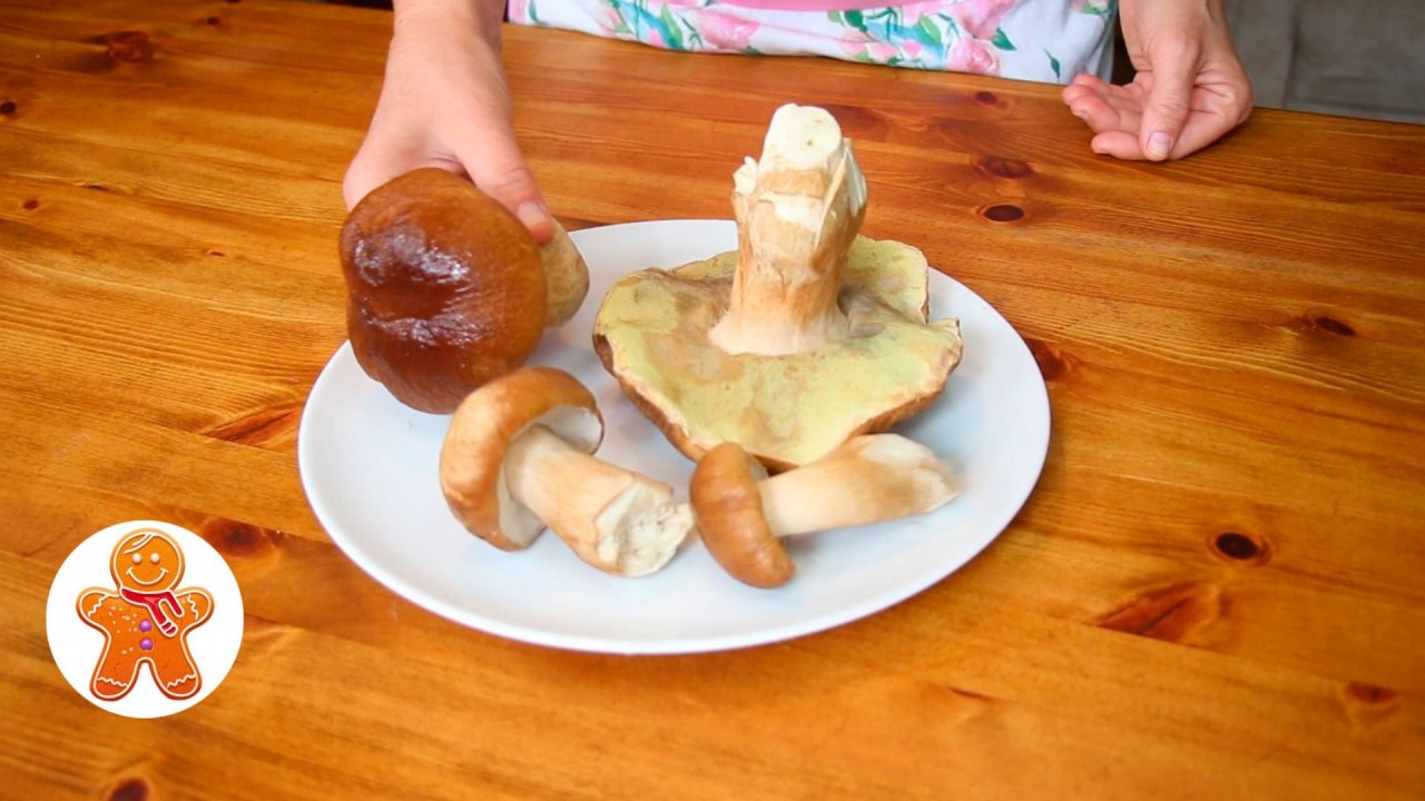 Белые грибы на зиму ✧ Простой способ заморозки