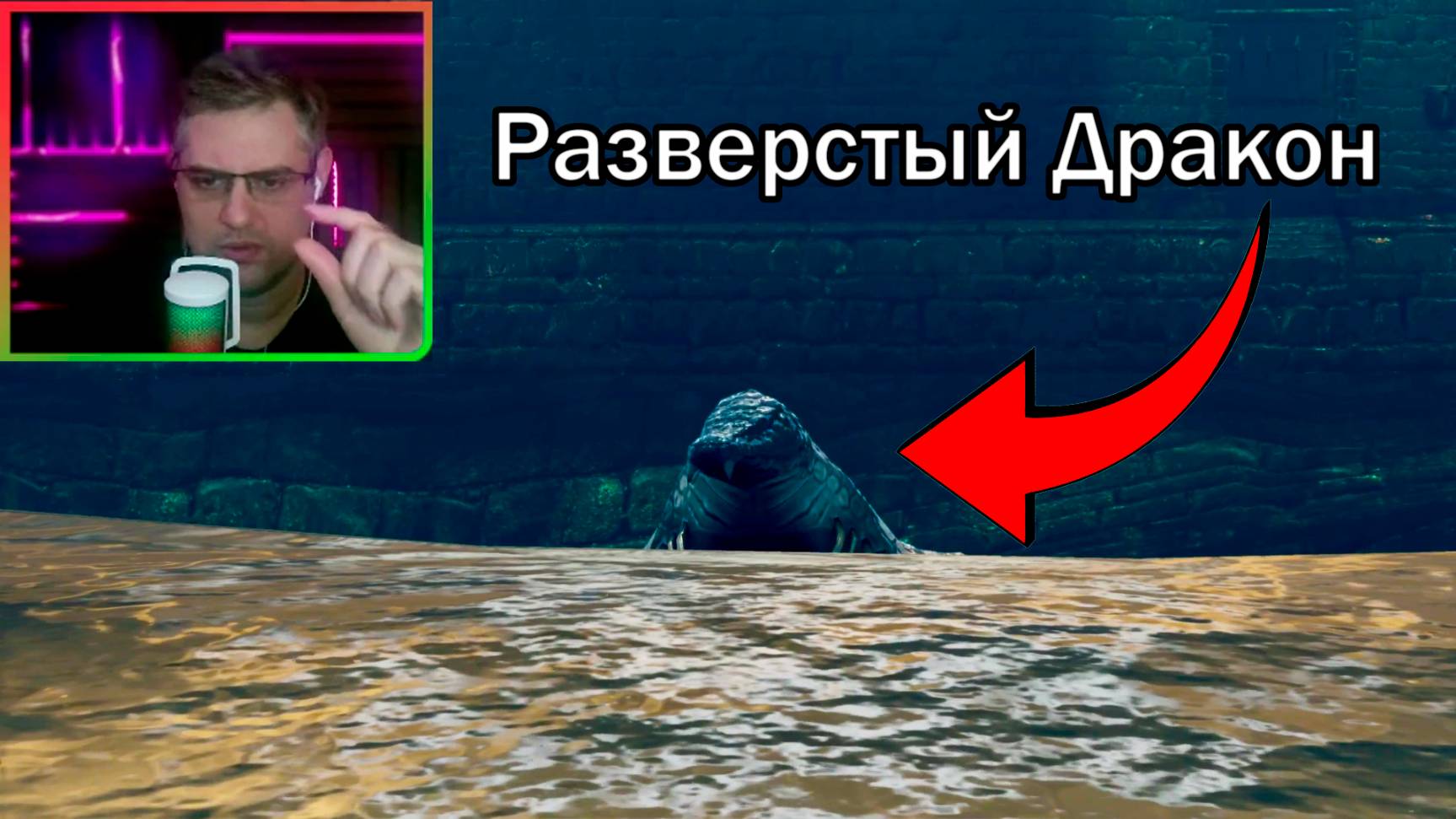 Dark Souls: Remastered ▶ Разверстый Дракон №11