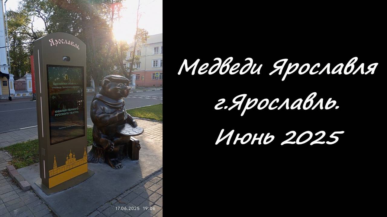 Медведи Ярославля. Июнь 2025