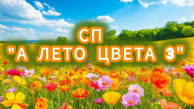 СП"А ЛЕТО ЦВЕТА 3" с Людмилой Краснопëровой/ отчёт 3/ участник 74