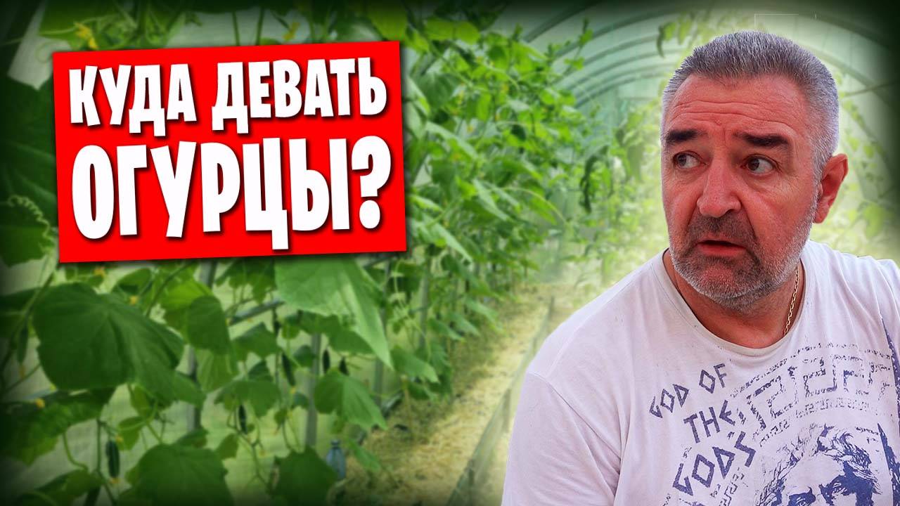 ❗️Обзор огорода и котов / О наших планах на гараж 🔥