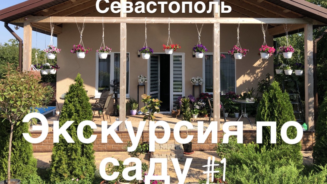 Первая экскурсия по моему молодому саду 07-07-2025