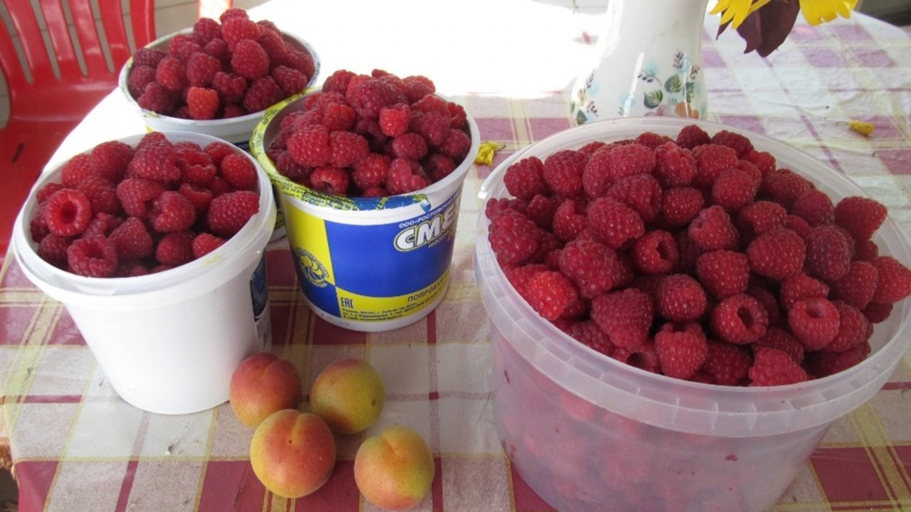 Малиновое варенье. Классический рецепт. Консервируем дома