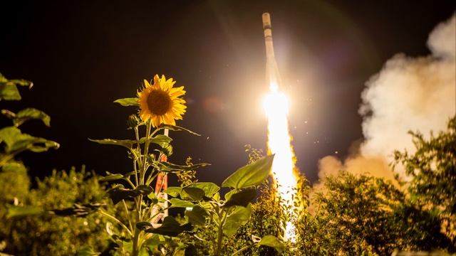 Подсолнух и старт Прогресса МС-31