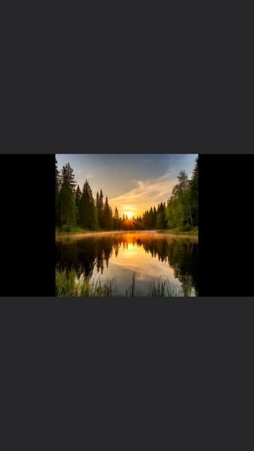 Всем доброго летнего утра, дорогие друзья