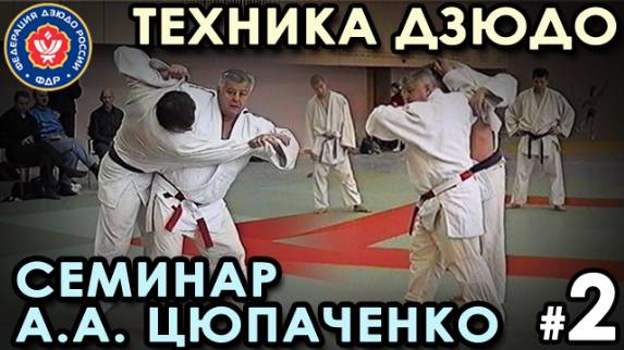 МЯГКАЯ техника Дзюдо – 2: семинар Андрея Цюпаченко.