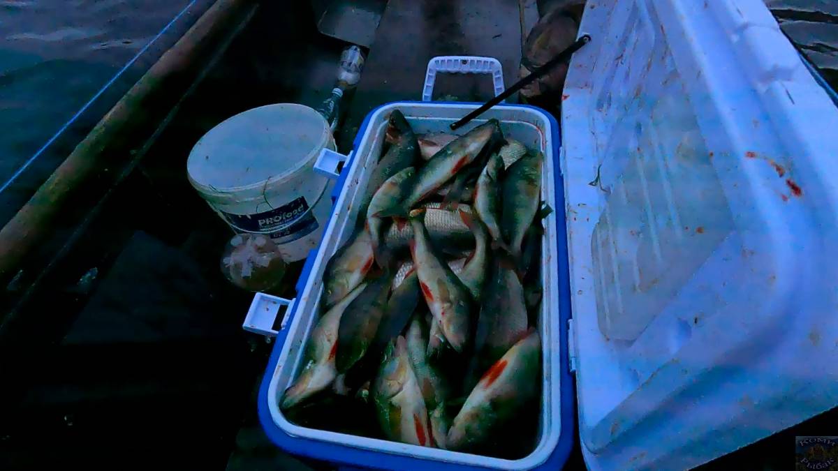 Рыбалка холодным летом 2025  Не ловилось но накидали целый контейнер