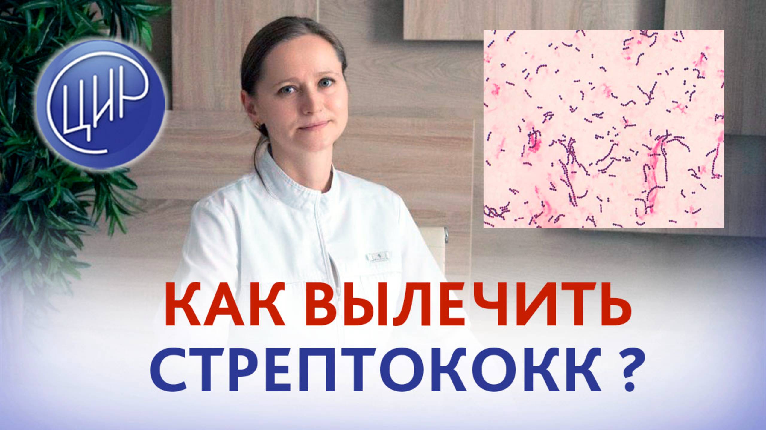 Как вылечить стрептококк при подготовке к ЭКО, если ничего не беспокоит? Тимофеева О.В.