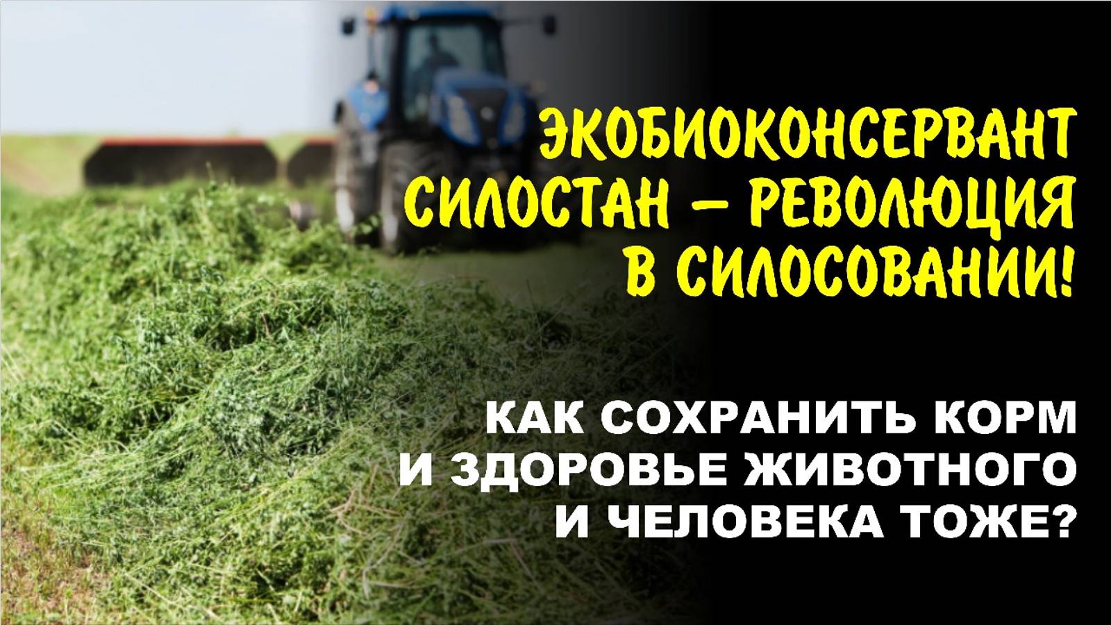Эксперты раскрывают секреты идеального экологического силоса. Экобиоконсерванты нового поколения