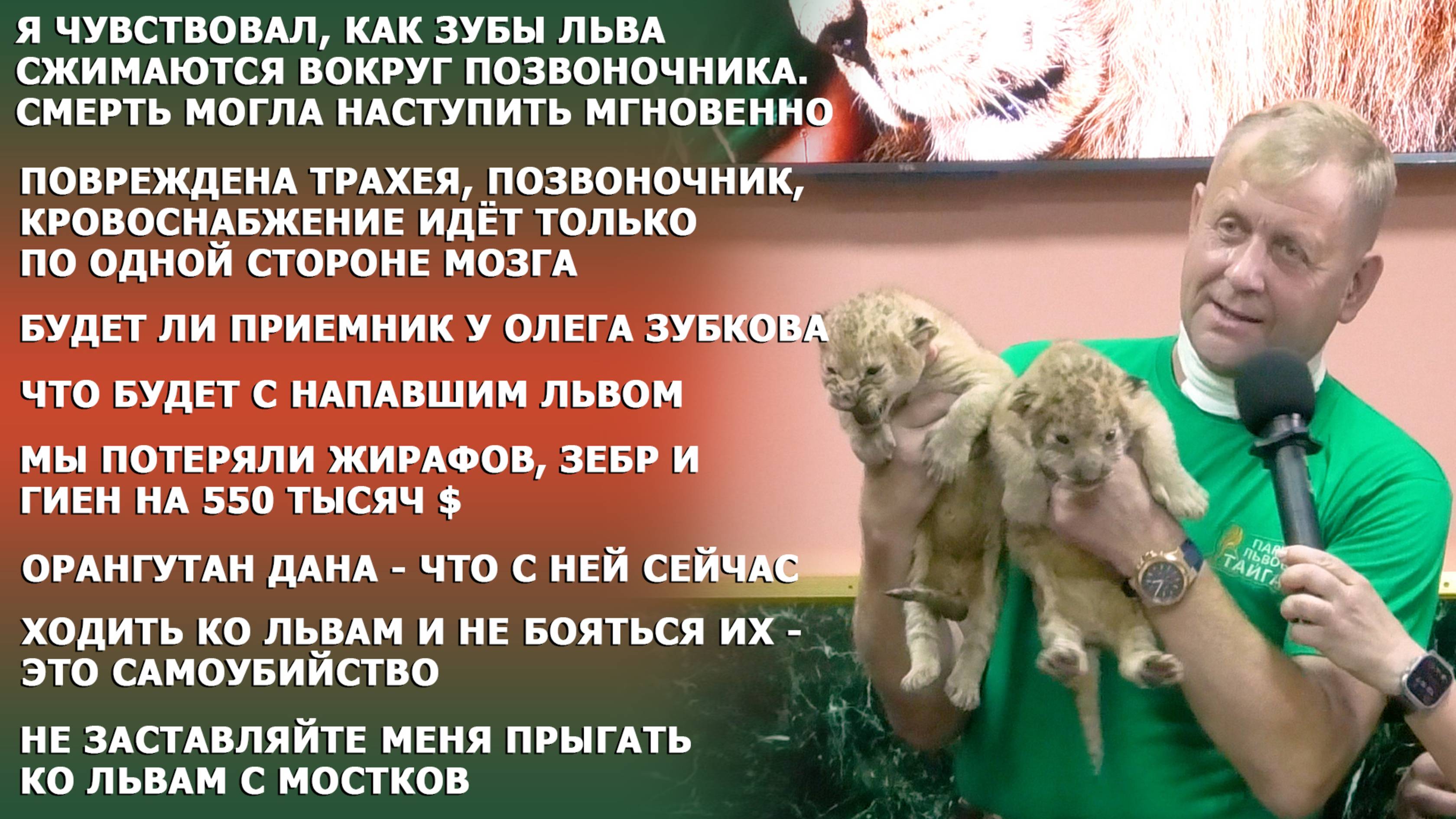 ПЕРВАЯ пресс-конференция после НАПАДЕНИЯ ЛЬВА! Олег Зубков рассказывает все сам!