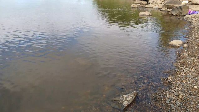 Вода кипит от рыбы, Рыбалка на Амуре с #FishermanDV27Rus