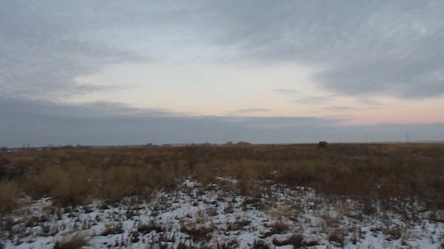 Исчезнувшая деревня Новая Медынка, Балаковский район (1).