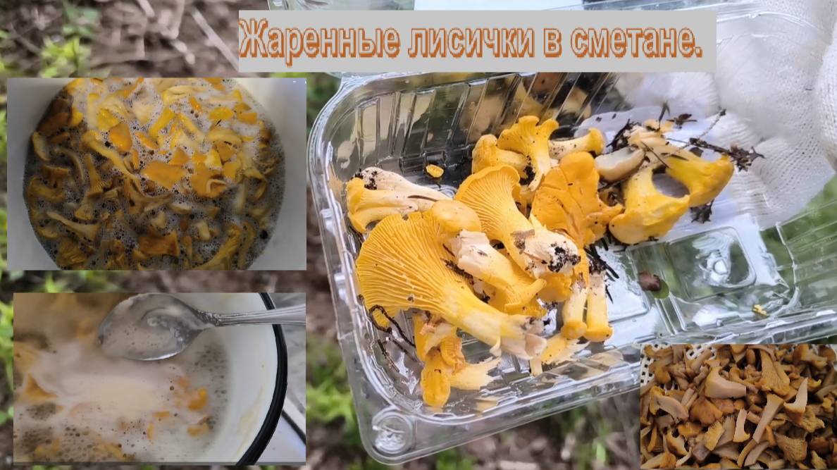 Жареные лисички со сметаной. Нужно ли варить лисички перед жаркой?
 #грибы   #готовим_дома