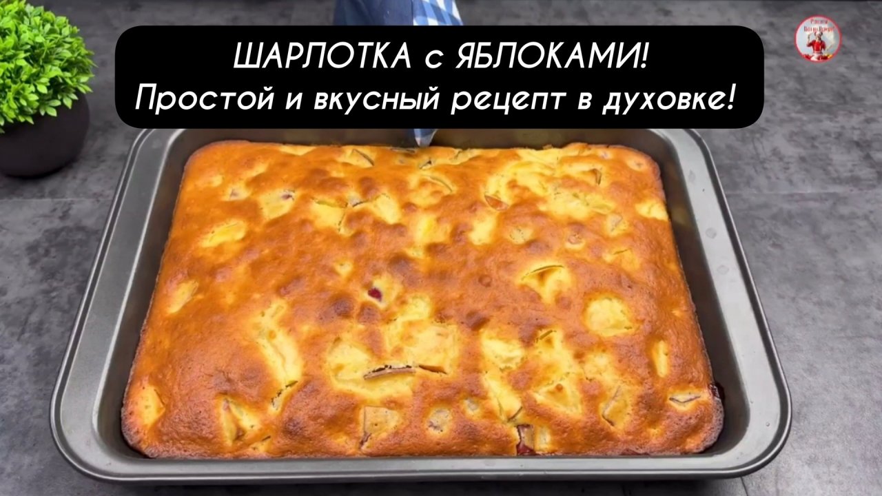 ШАРЛОТКА Простой и Вкусный рецепт в духовке! Яблочный пирог!