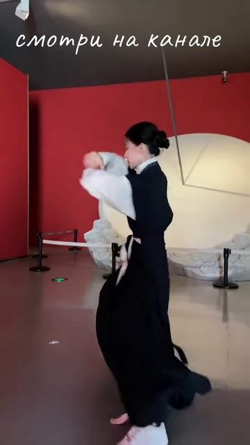 Тайцзи подчеркивает взаимопревращение инь и ян