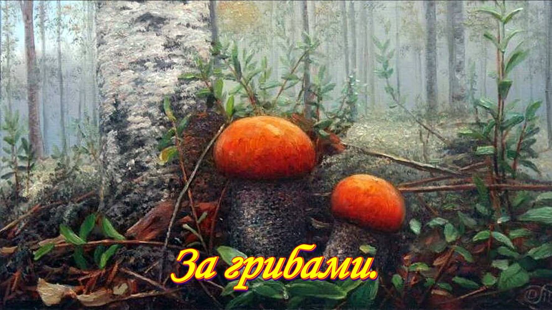 За грибами. Лесная радость.