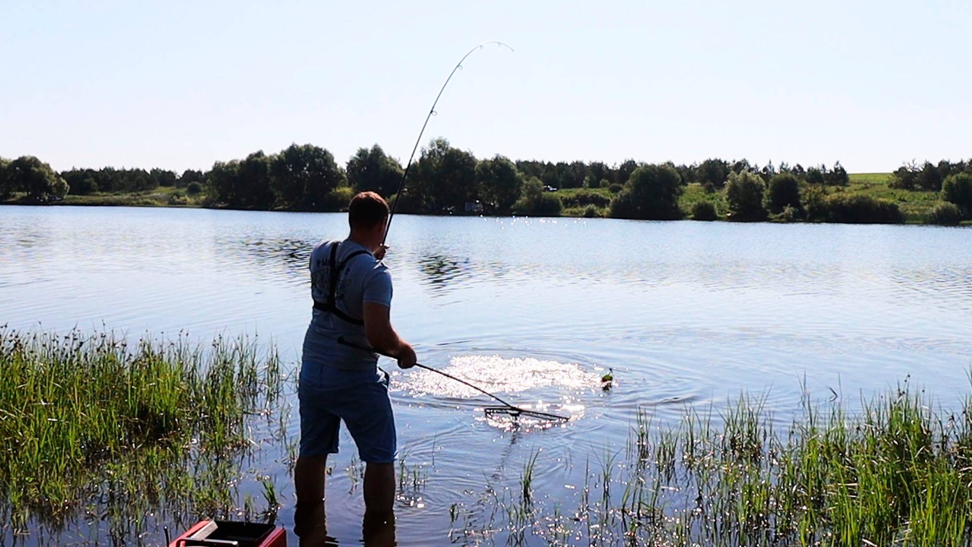 Рыбалка в удовольствие! Ловлю толстолобика и кафую!