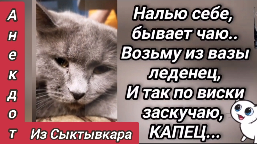 Анекдот из Сыктывкара 😜