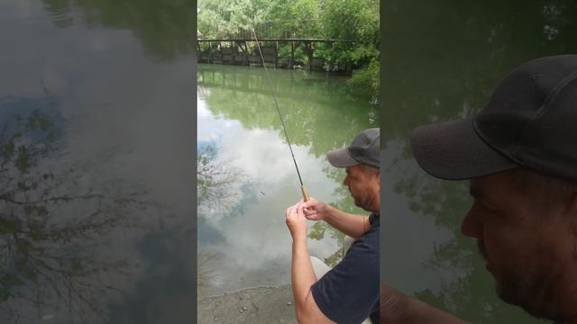 Очень быстрая ловля некрупной рыбёшки из засады на самодельную, укороченную, поплавочную удочку