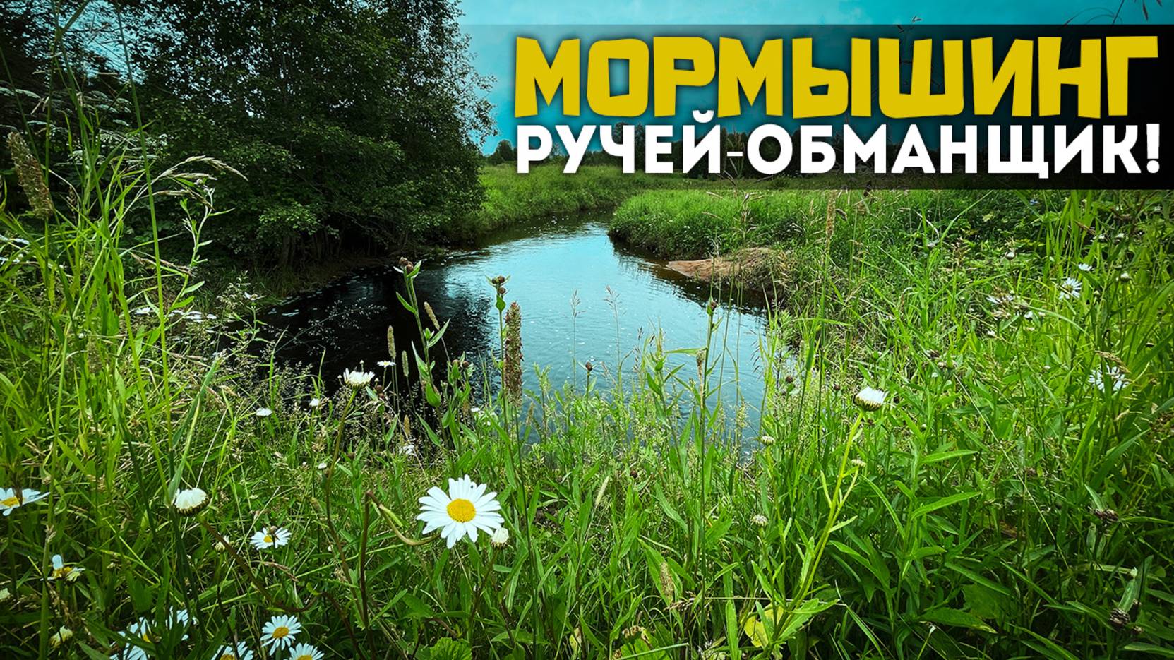 🚫ОНИ СКРЫВАЛИ ЭТО МЕСТО!🎣 ШОК — вместо Форели клюнуло...ЭТО😨Дикий ручей #мормышинг