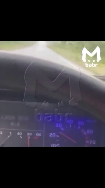 Нива встала на колени.