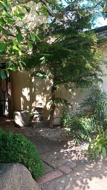 Японский сад, Ботанический сад, Бирмингем, Англия (Japanese Garden, Botanical Gardens, Birmingham)