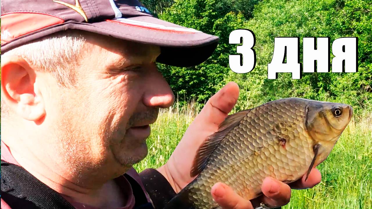поймать карасей за три дня, возможно ли это?