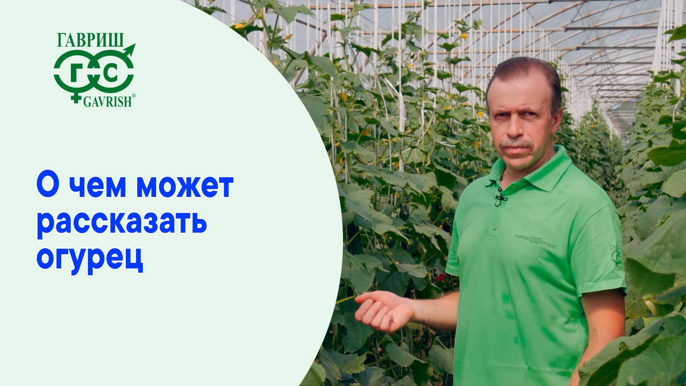 О ЧЕМ МОЖЕТ РАССКАЗАТЬ ОГУРЕЦ