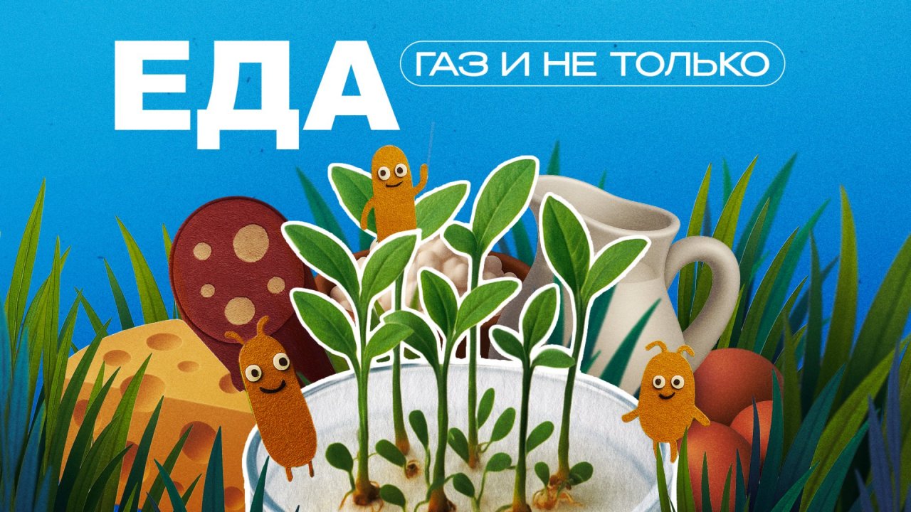 Еда | Газ и не только