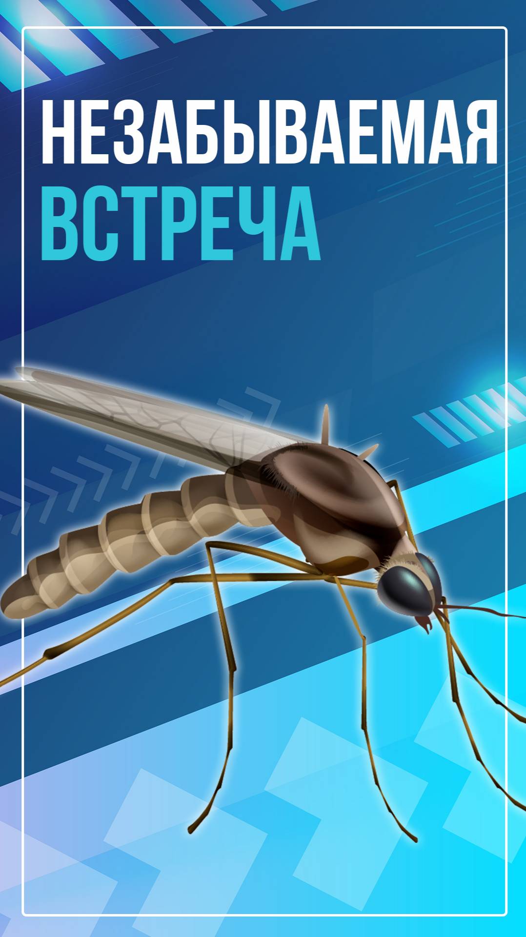 Незабываемая встреча