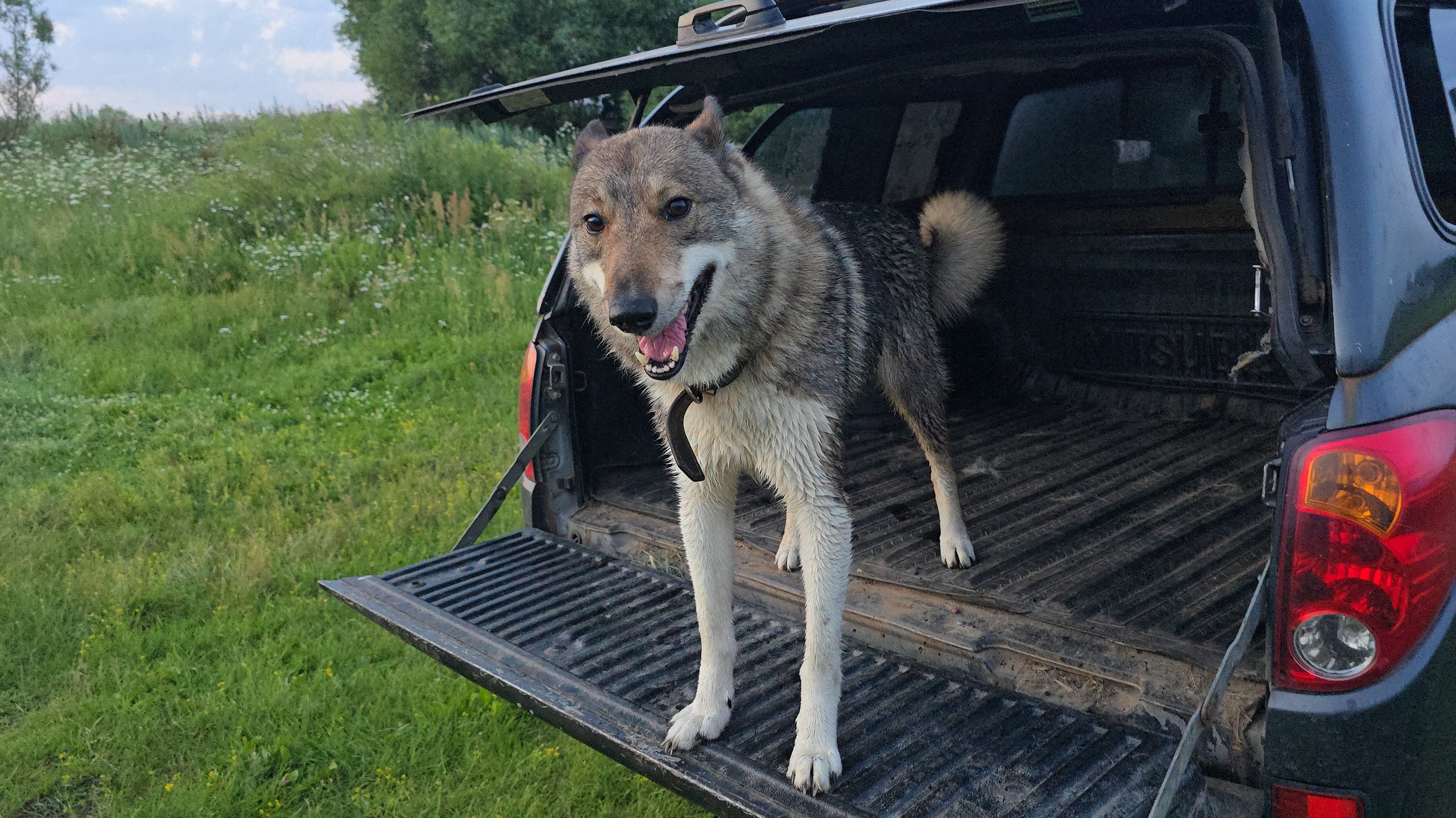 По краю ютуба